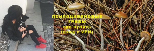 apvp Гусиноозёрск
